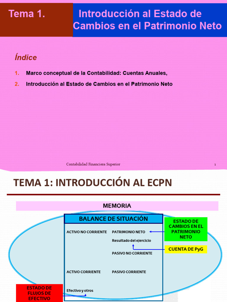 Introducción al ECPN en Contabilidad | PDF | Valor neto | Contabilidad