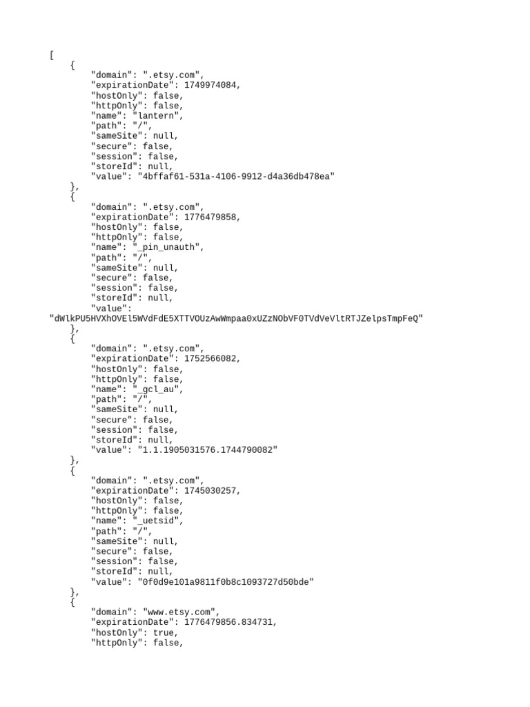 Etsy Cookie Data Overview | PDF | Http Cookie
