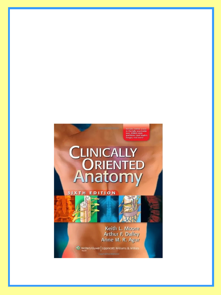 Test Bank Clinically Oriented Anatomy 6th Edition Moore – Agur – Dalley ...
