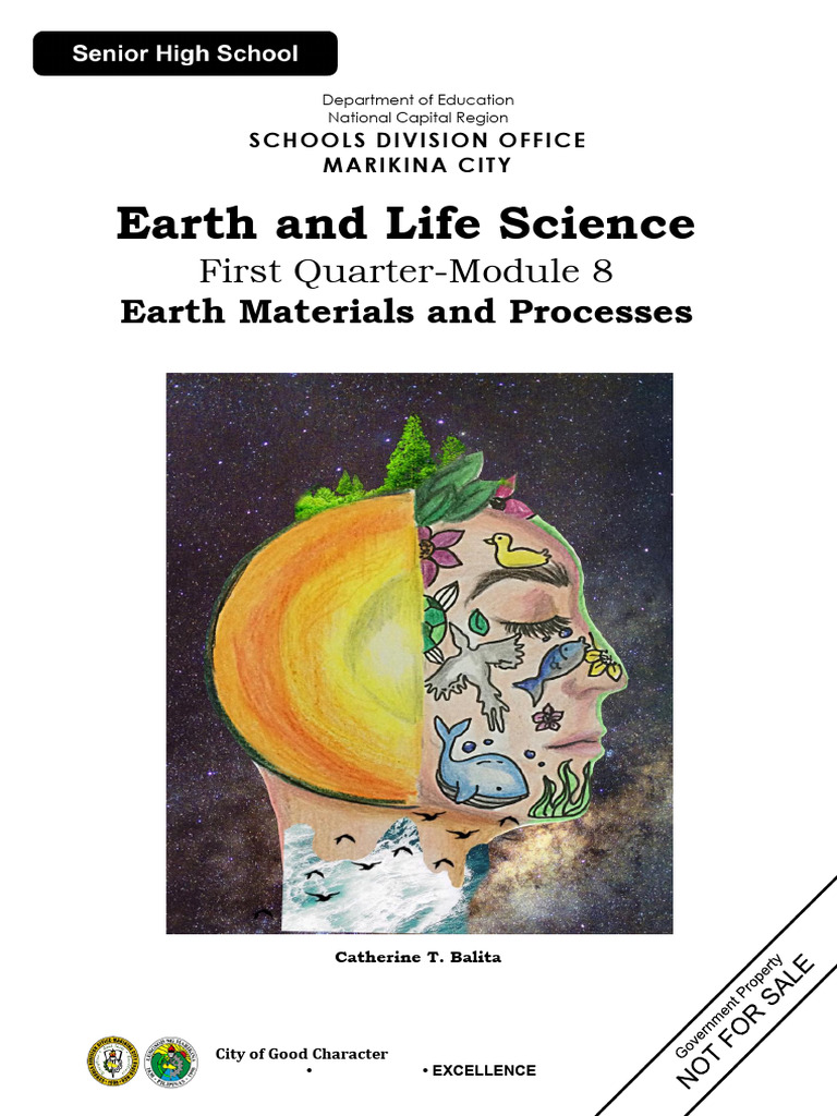 Earth Science Module: Rock Stratification | PDF | Sedimentary Rock ...