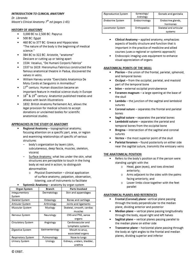 Overview of Clinical Anatomy Concepts | PDF | Anatomical Terms Of ...