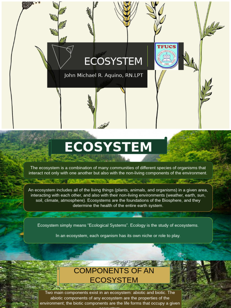 Understanding Ecosystems: Components & Types | PDF | Ecosystem | Earth ...