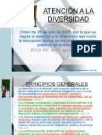 Atencion Diversidad