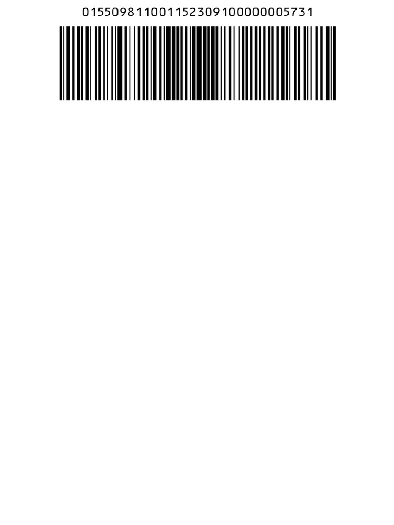 Barcode Guru 20250530 215457 119 | PDF