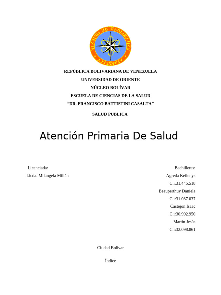 Importancia de la Atención Primaria en Salud | PDF | Enfermería ...