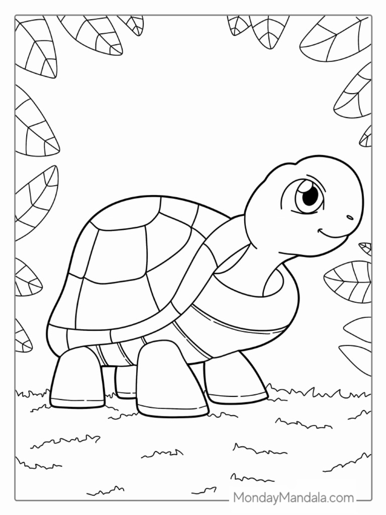 Simple Outline of Turtle To Color For Kids | PDF