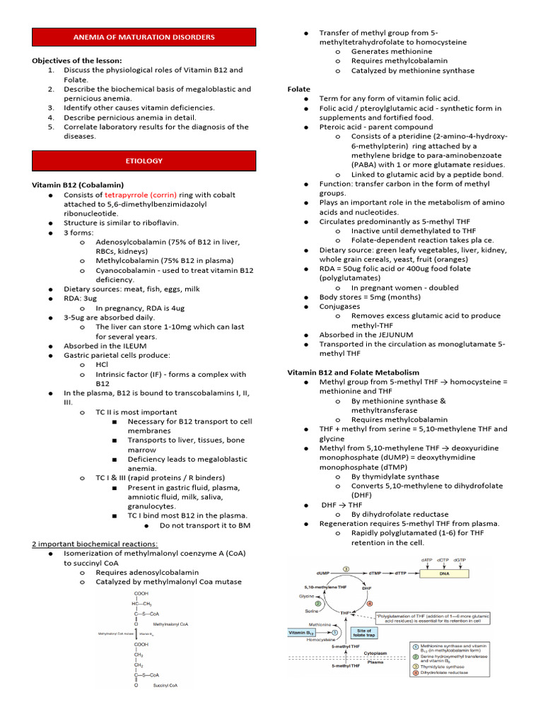 Anemia: Vitamin B12 and Folate Insights | PDF | Vitamin B12 | Anemia