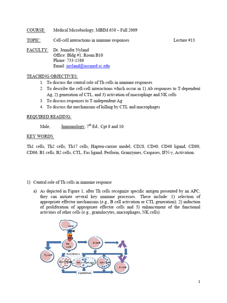 Cell-Cell Interactions 2 | PDF | Cytotoxic T Cell | T Helper Cell