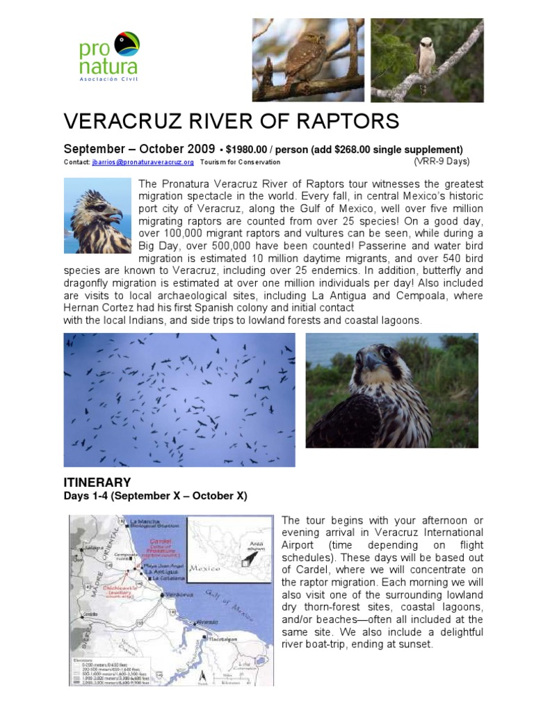 Greatest Raptor Migration in The World | PDF | Hawk | Bird Migration