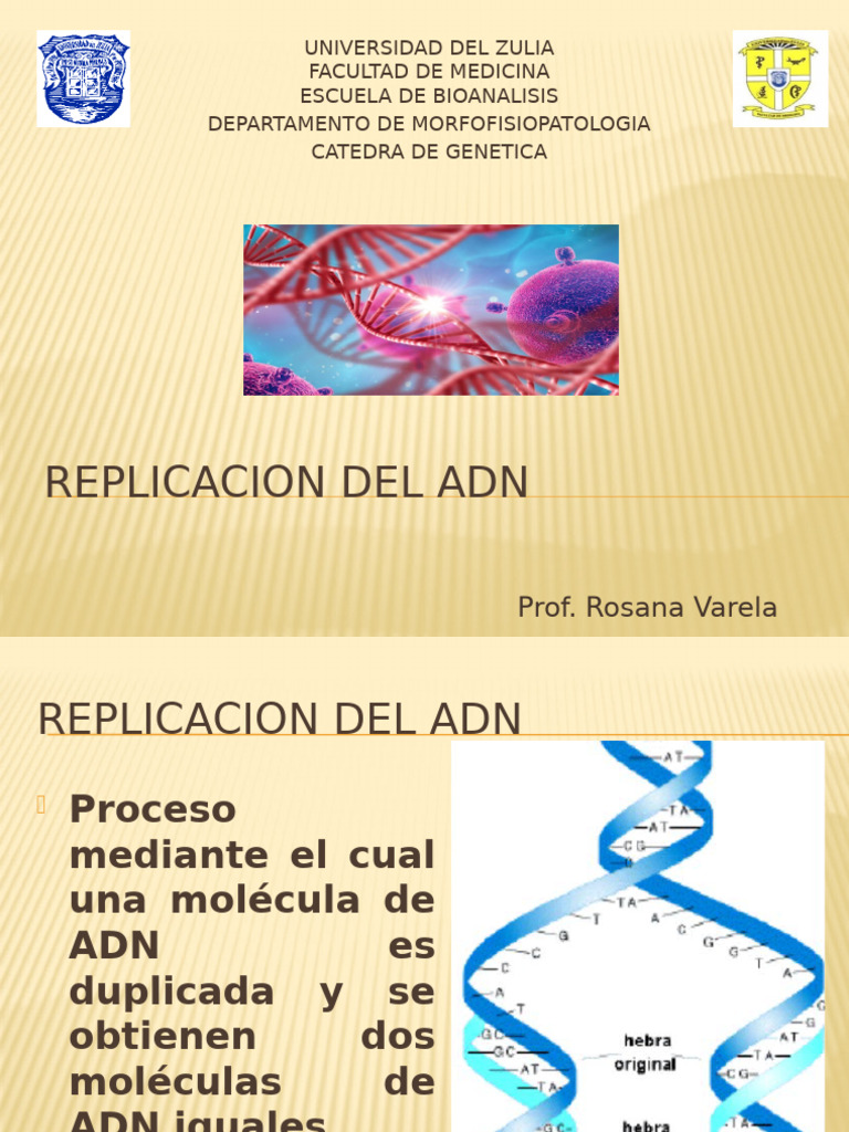 Replicacion Del ADN | PDF | Replicación De Adn | Adn