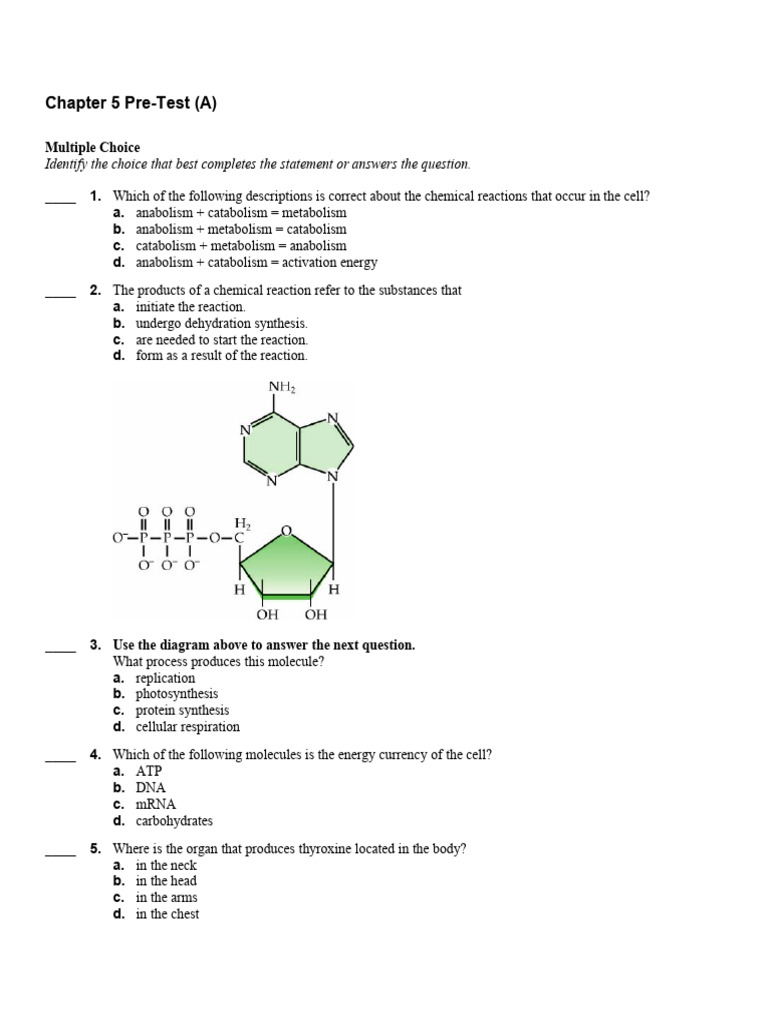 Chapter 5 Pre-Tets A - (Withkey) | PDF | Active Site | Enzyme