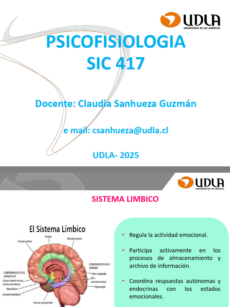 Funciones del Sistema Límbico | PDF | Las emociones | Sistema límbico