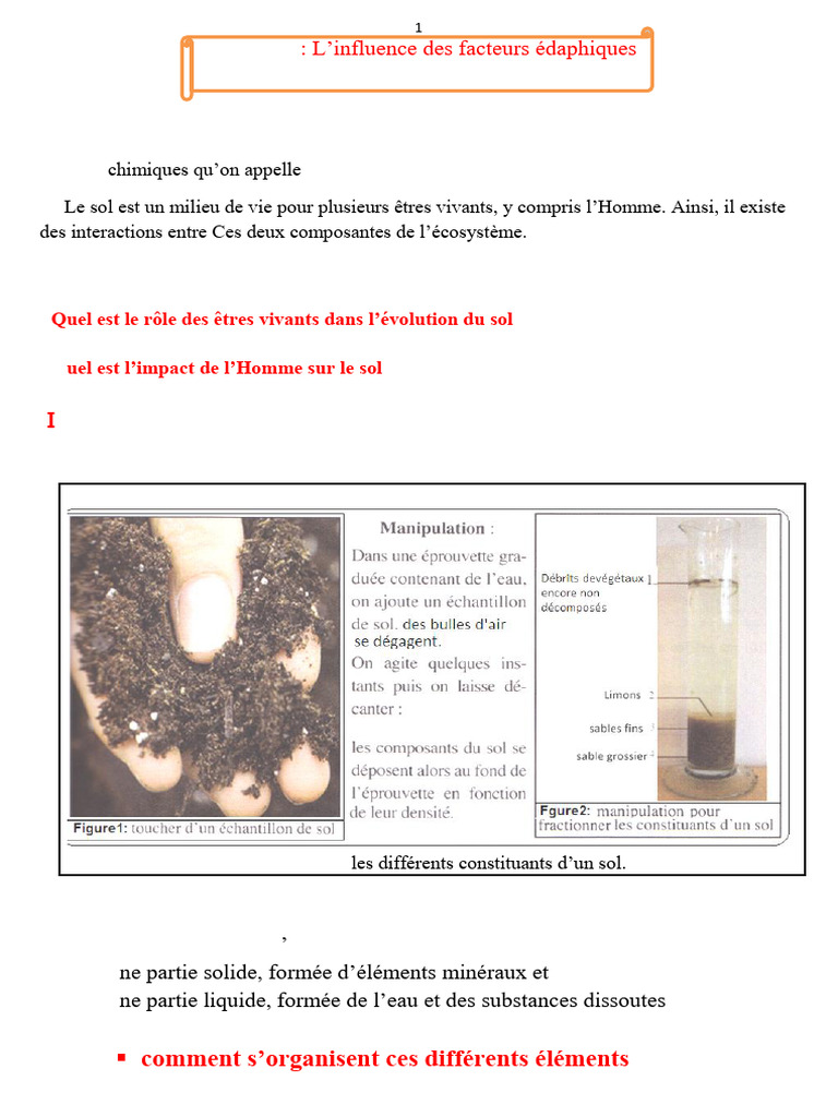 Rôle du sol dans l'écosystème vivant | PDF | Porosité | Sol (pédologie)