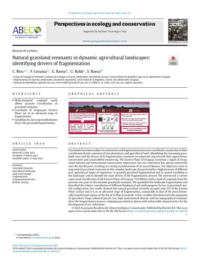 Image showcasing Grassland Fragmentation in Uruguay | PDF | Grassland | Agriculture