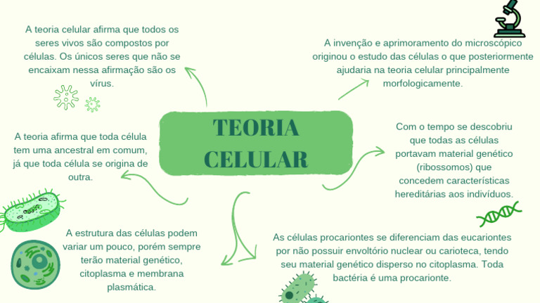 Princípios da Teoria Celular | PDF