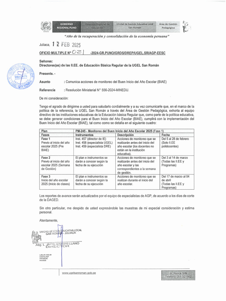Protocolo BIAE 2025: Monitoreo Inicial | PDF | Educación de la primera ...