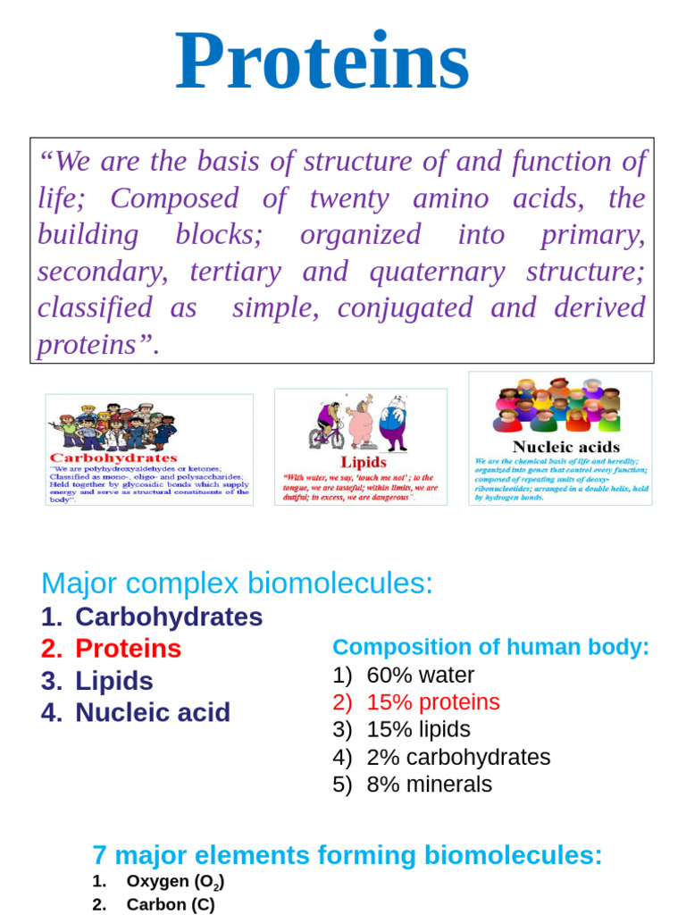 Understanding Protein Structure and Functions | PDF | Proteins | Amino Acid
