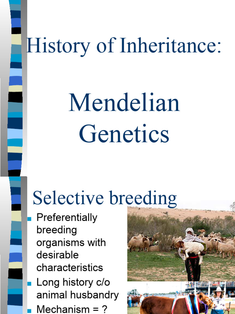 History of Inheritance-Mendelian Genetcs | PDF | Dominance (Genetics ...