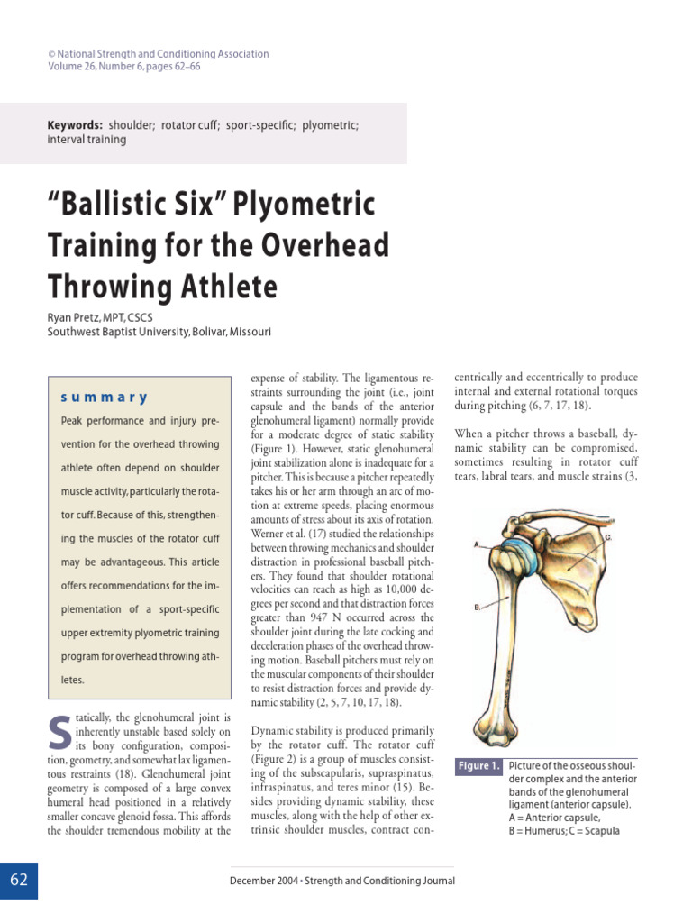 Plyometric Training for Pitchers | PDF | Musculoskeletal System | Limbs ...