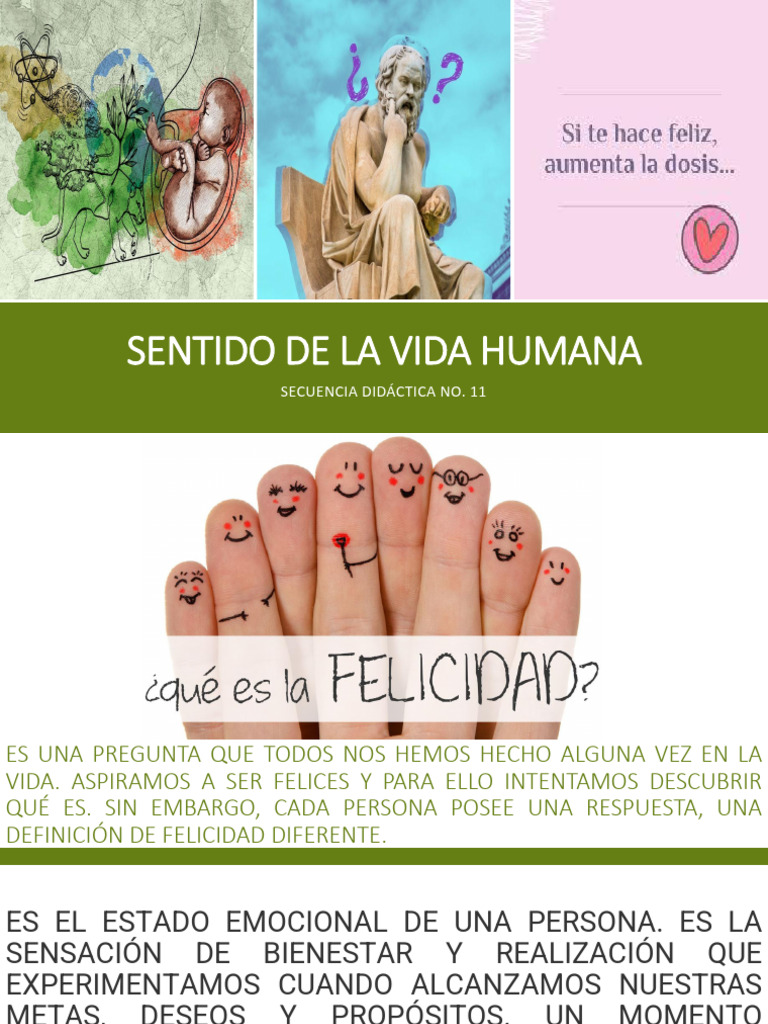 Reflexiones sobre la felicidad humana | PDF | Felicidad