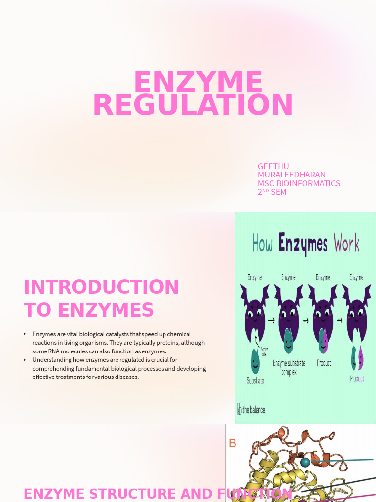 Curated visual reference: Enzyme Regulation And Function Overview Pdf Enzyme Photo Inspiration