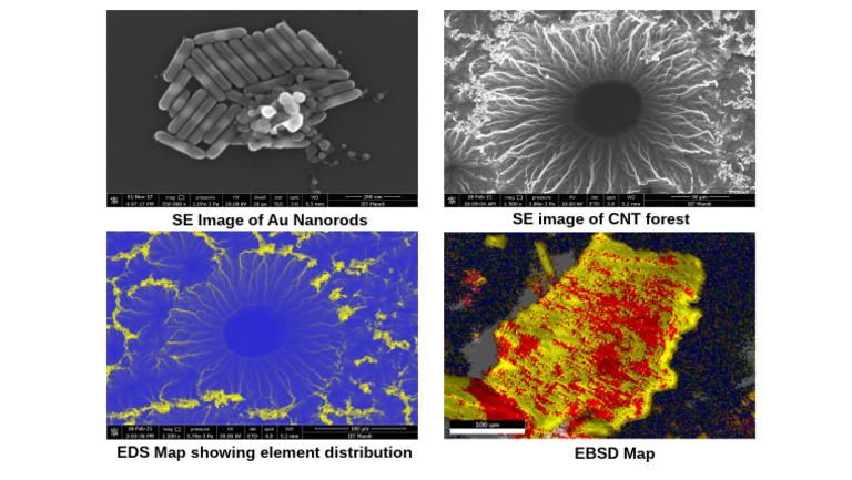SE Image of Au Nanorods SE Image of CNT Forest | PDF
