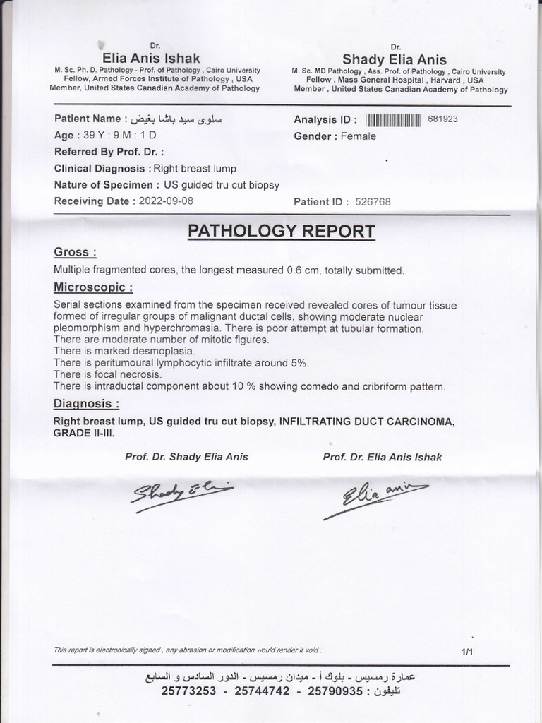 Pathology Report: Infiltrating Duct Carcinoma | PDF | Pathology ...