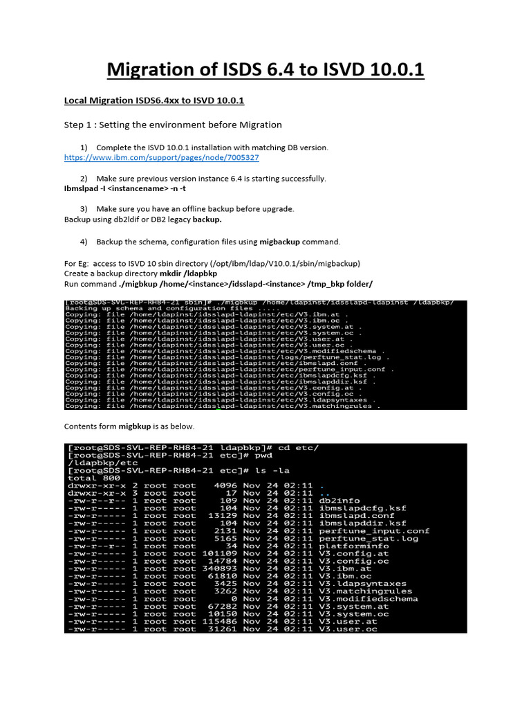 ISDS 6.4 to ISVD 10.0.1 Migration Guide | PDF | Computer Data ...