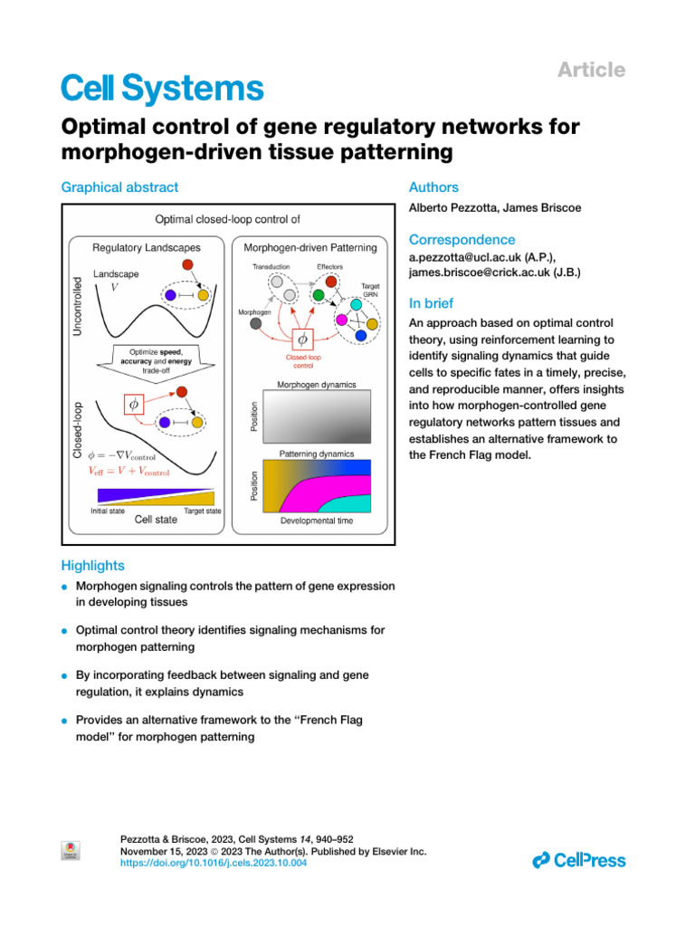 Optimal Control of Gene Regulatory Networks For Morphogen Driv 2023 ...