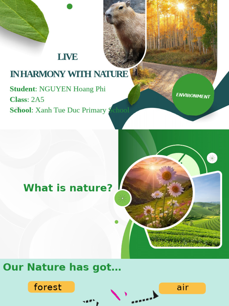 Environment Harmony With Nature | PDF