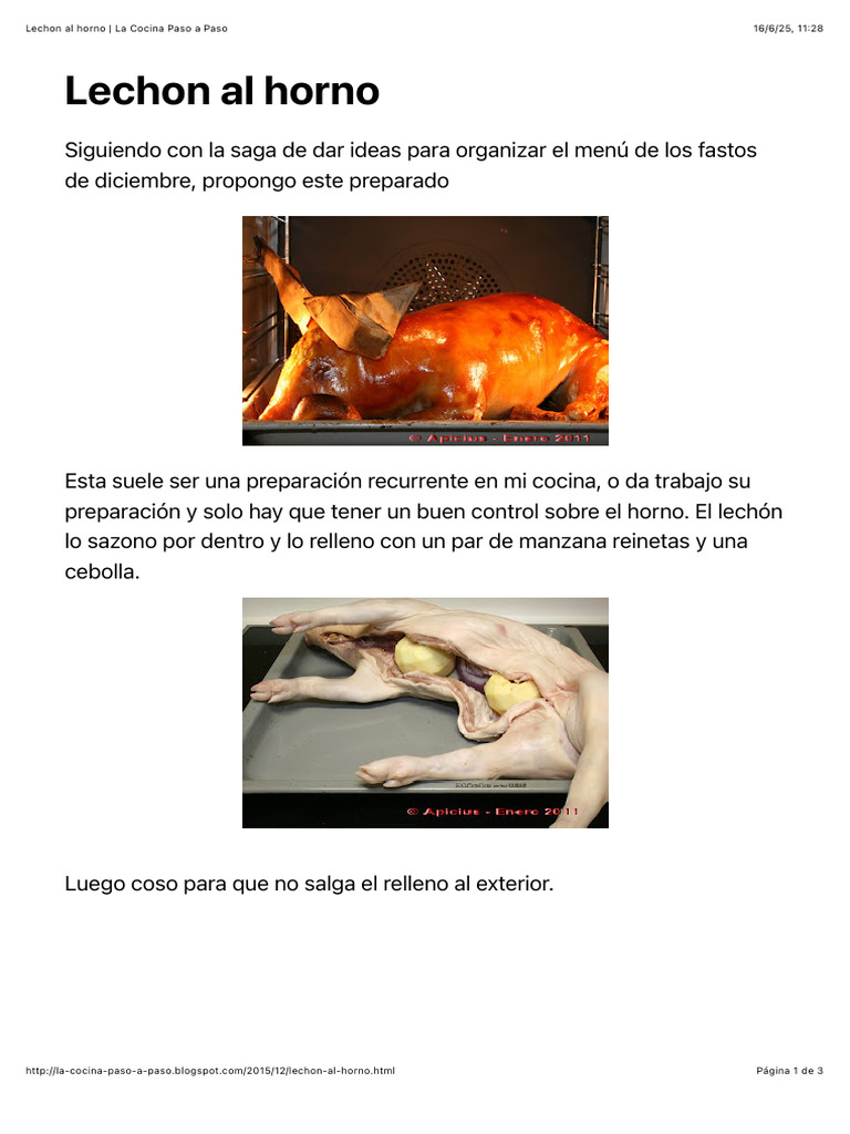 Lechón al Horno: Guía de Cocción | PDF