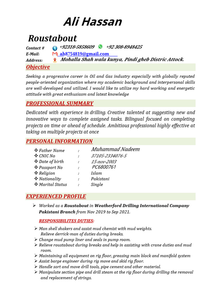 Roustabout Resume for Oil & Gas Industry | PDF