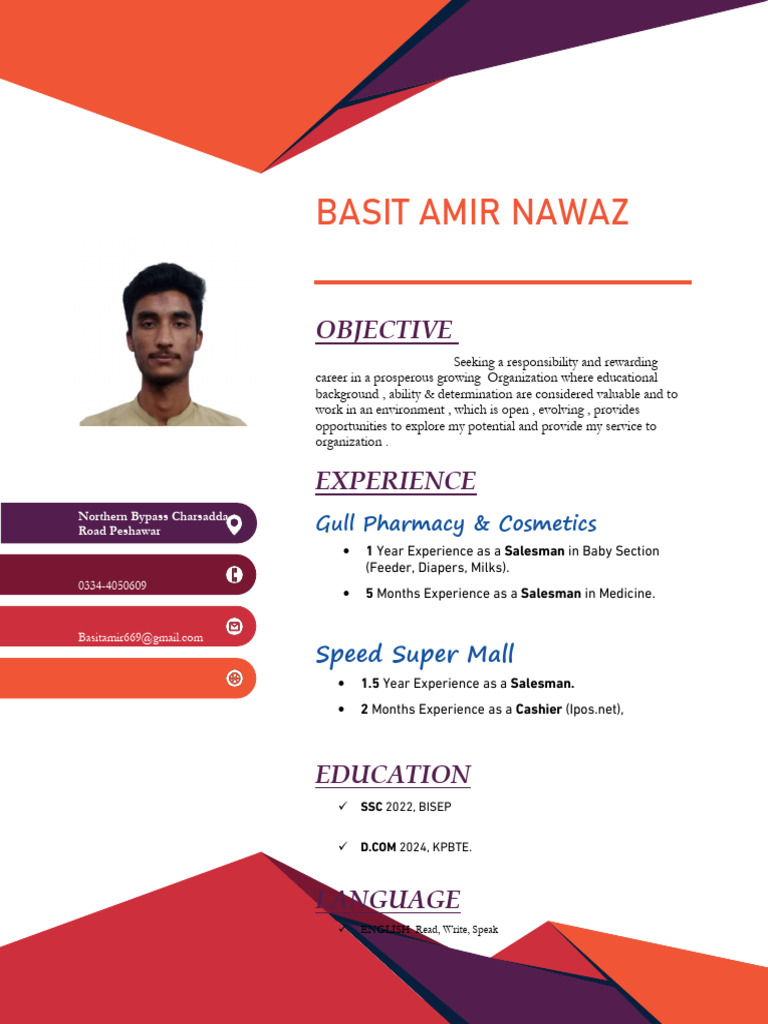 Basit CV | PDF