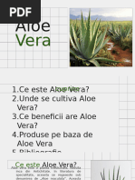wie riecht aloe vera gel Aloe Vera Gel - 98% BIO Aloe Vera - 100% natürlich main image 1