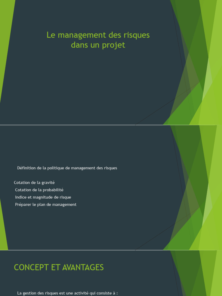 Le Management Des Risques | PDF