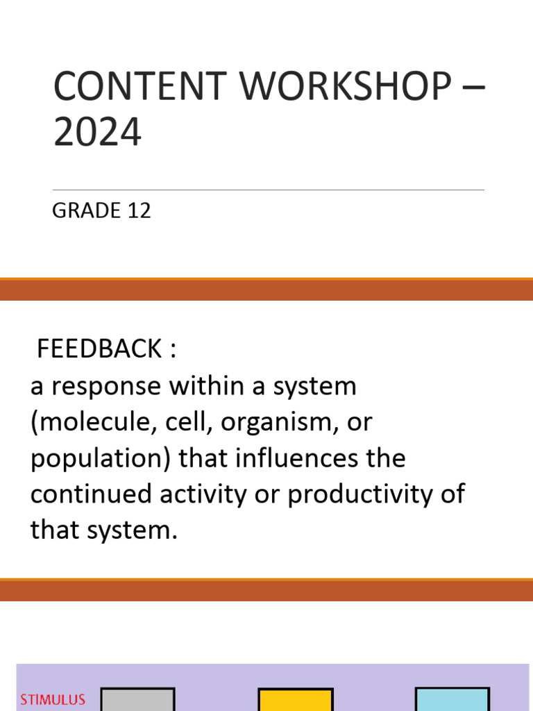 Stopping Positive Feedback Loops | PDF | Physiology | Medical Specialties
