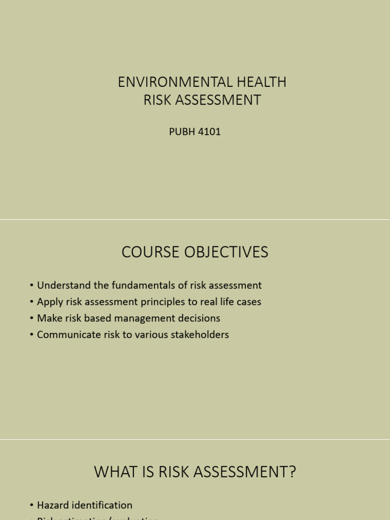 Environmental Health Risk Assessment Guide | PDF | Particulates | Risk