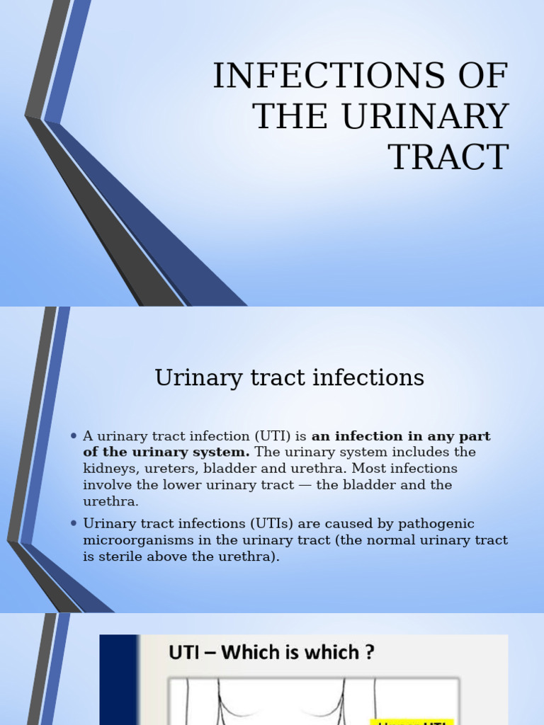 Understanding Urinary Tract Infections | PDF | Urinary Tract Infection ...