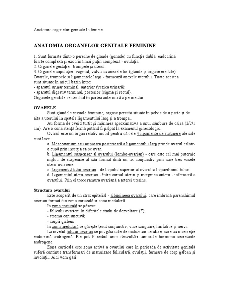 Anatomie Genital Feminin | PDF