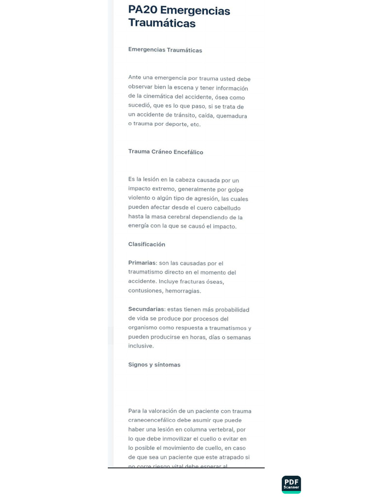 ACE Scanner Overview and Features | PDF