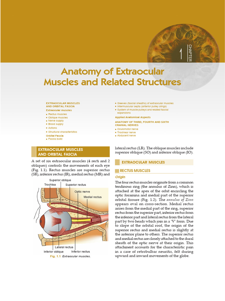 94 B S9 Eya P3 U3 OLd U0 RBM VCem 7 PZRQJ8 A | PDF | Human Head And ...