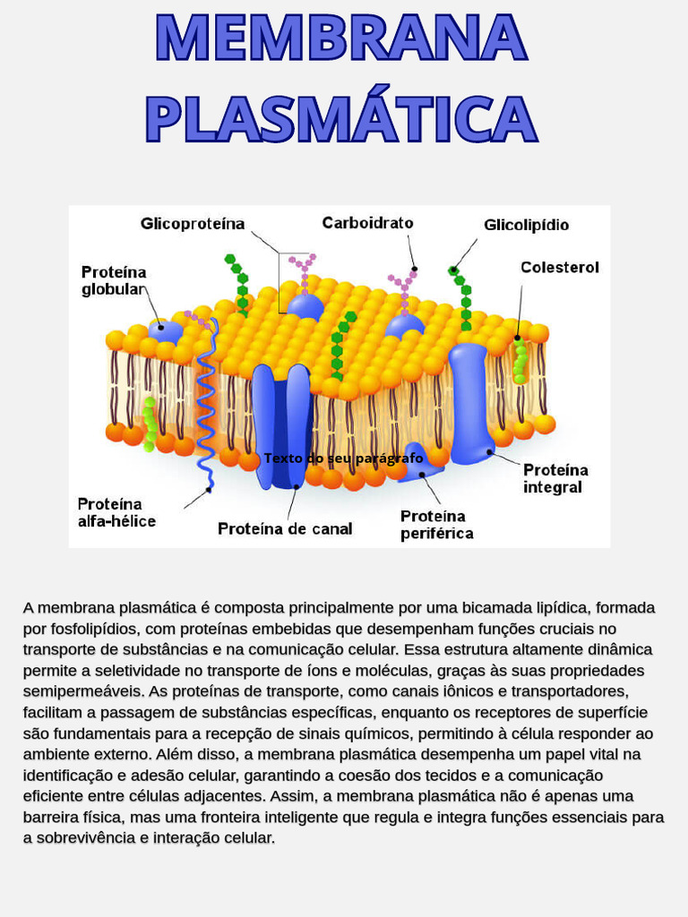 Estrutura e Função da Membrana Plasmática | PDF