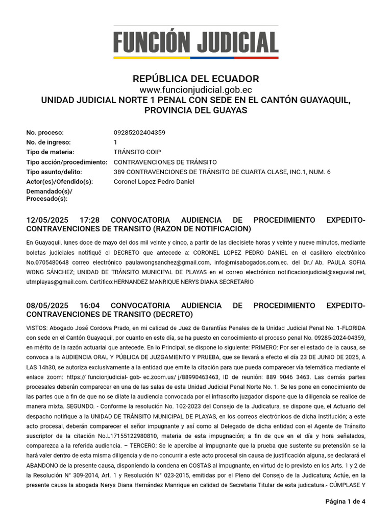 Expel 09285202404359 26522116 13062025 | PDF | Ley constitucional | Ley ...
