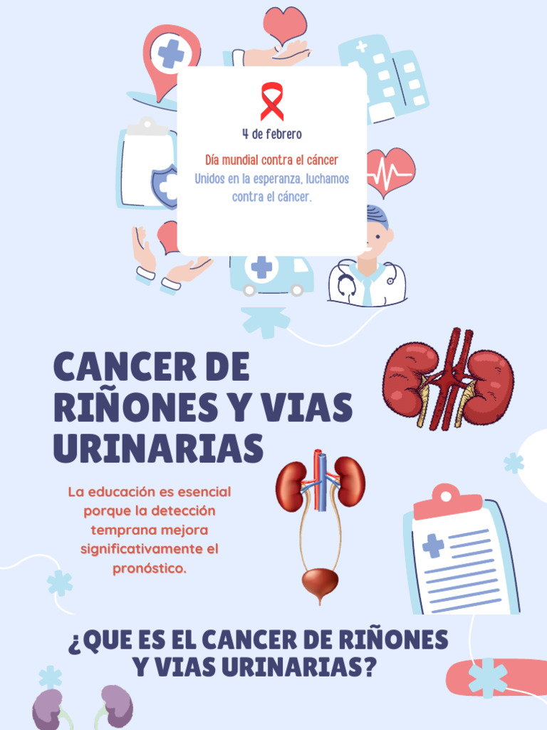 Cáncer de Riñones y Vías Urinarias: Guía | PDF | Cáncer | Sistema urinario