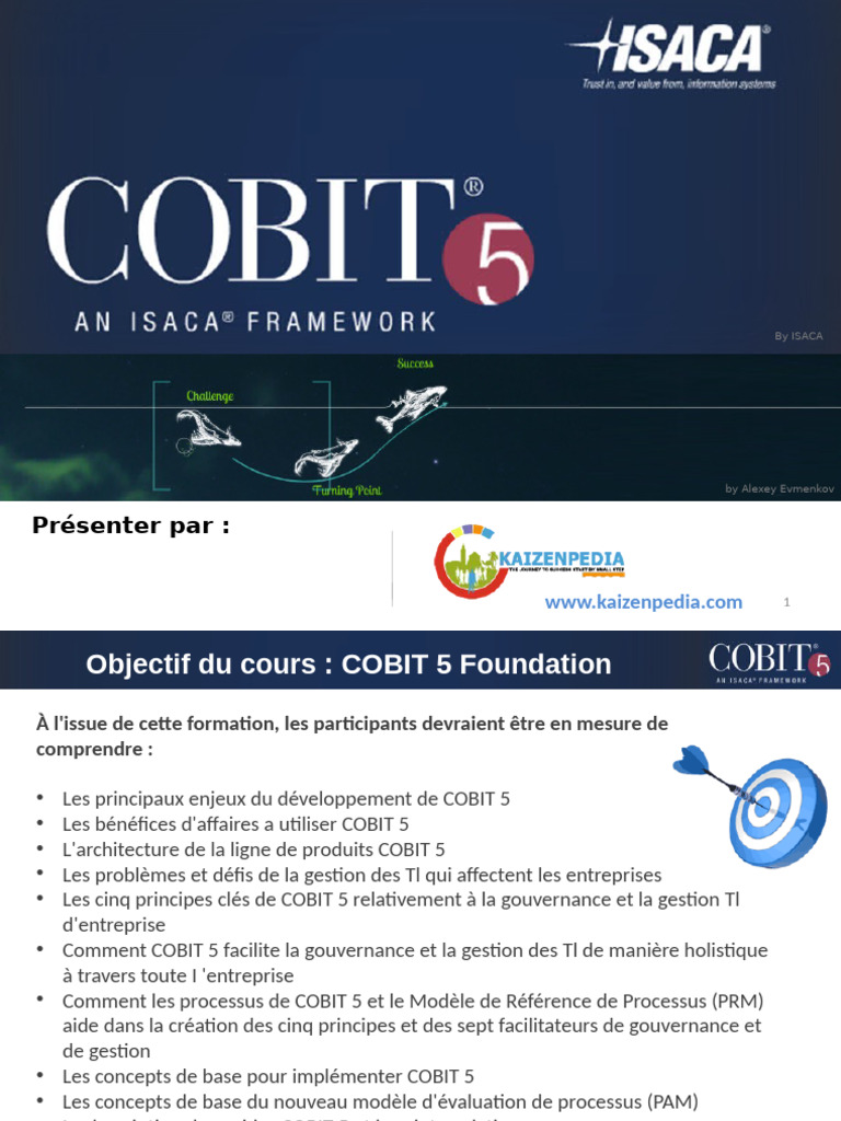 Introduction à COBIT 5 et ses principes | PDF | COBIT | Gouvernance