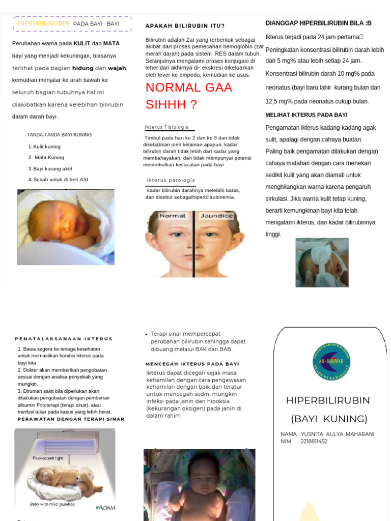 Hyper Bilirubin | PDF