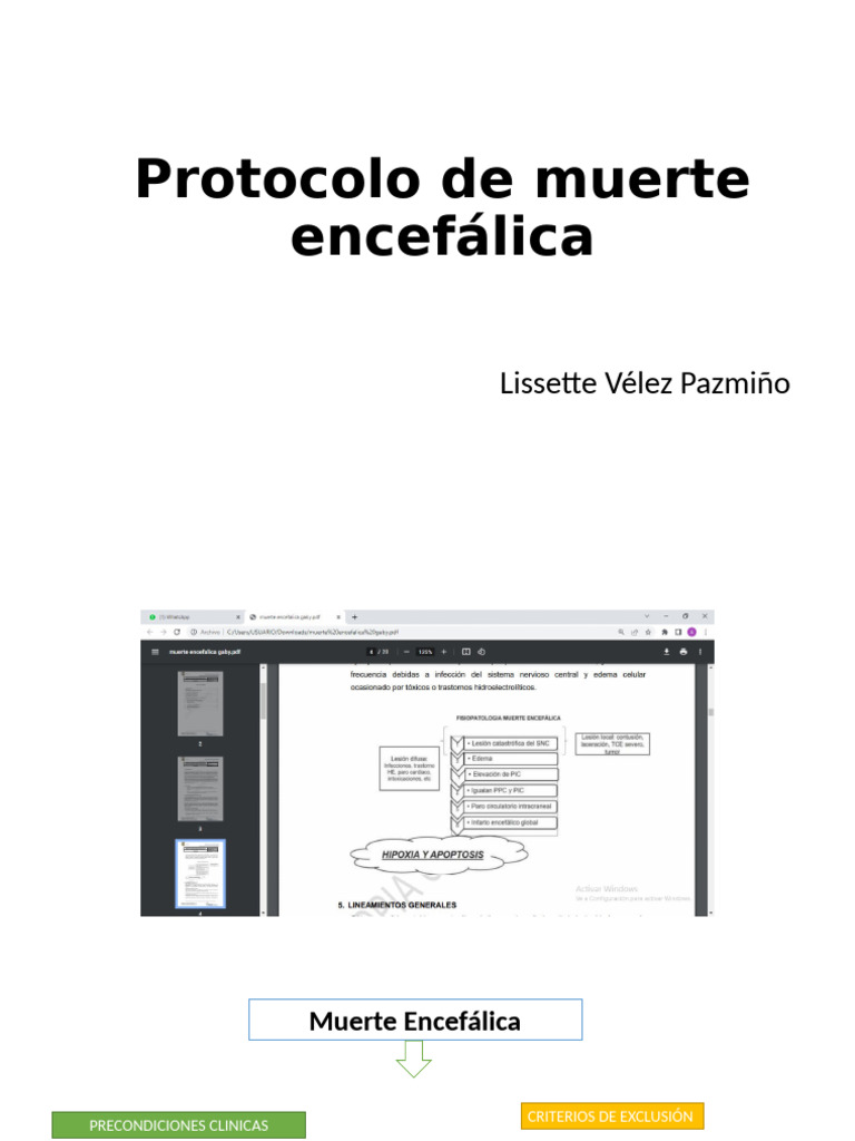 Protocolo de Muerte Encefálica PDF