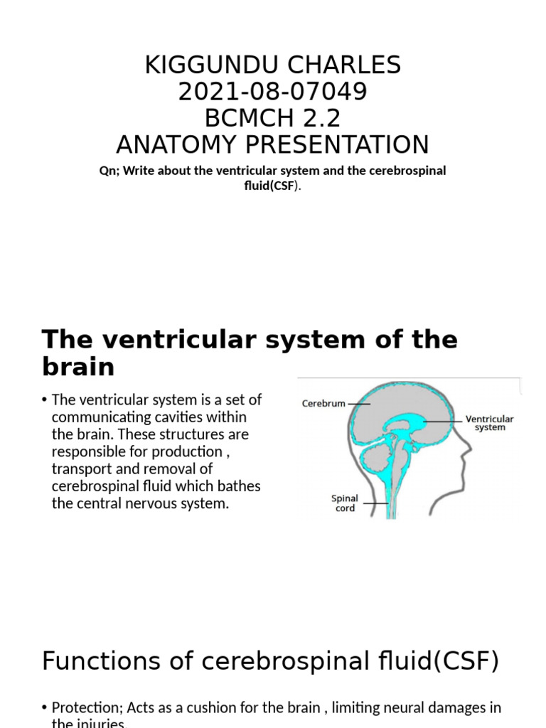 Ventricular System & CSF Overview | PDF | Cerebrospinal Fluid | Nervous ...
