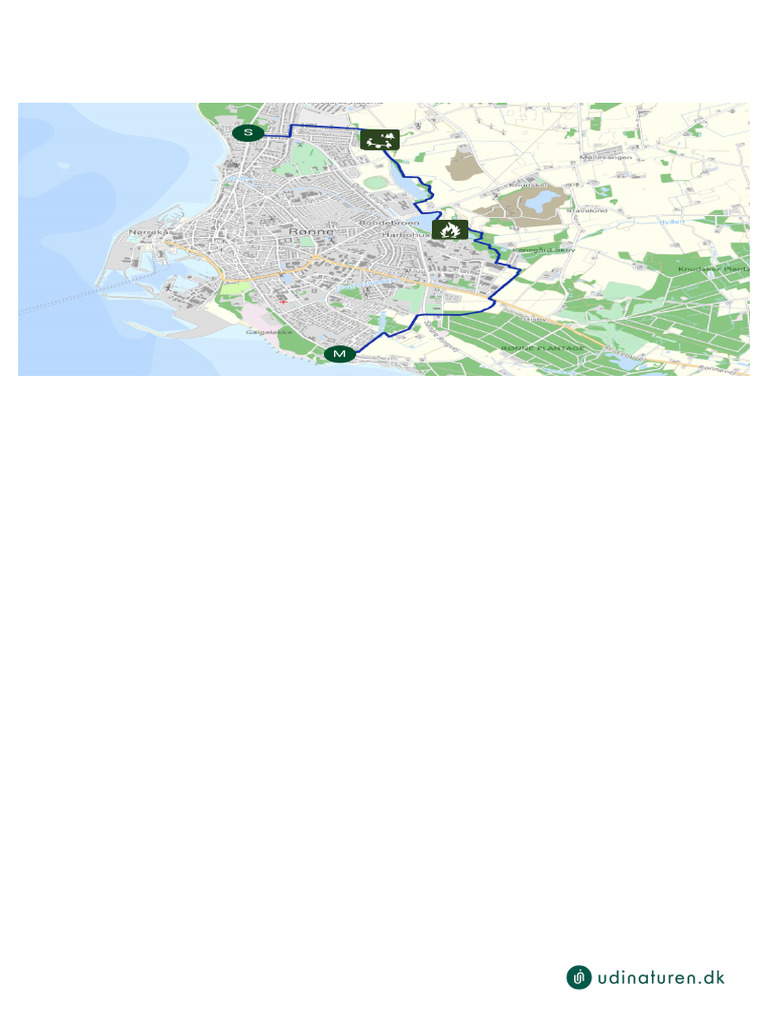 den-gr-nne-ring-pdf