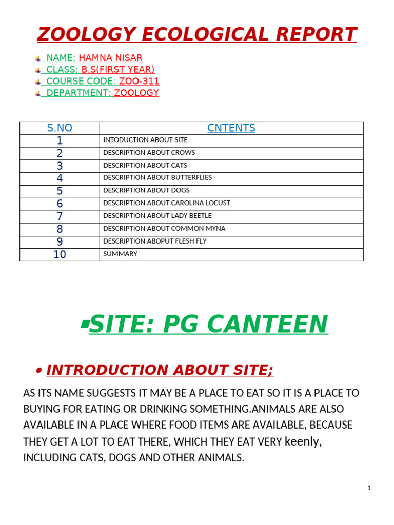 Zoological Observations at PG Canteen | PDF | Zoology | Insects